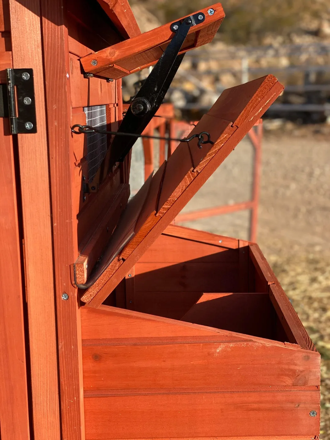 Chicken Coop for 6  Chickens – Orpington Lodge (Hen House Only)