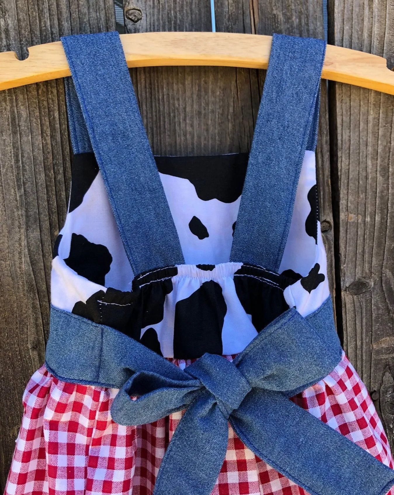 Gingham Barnyard Farm Dress