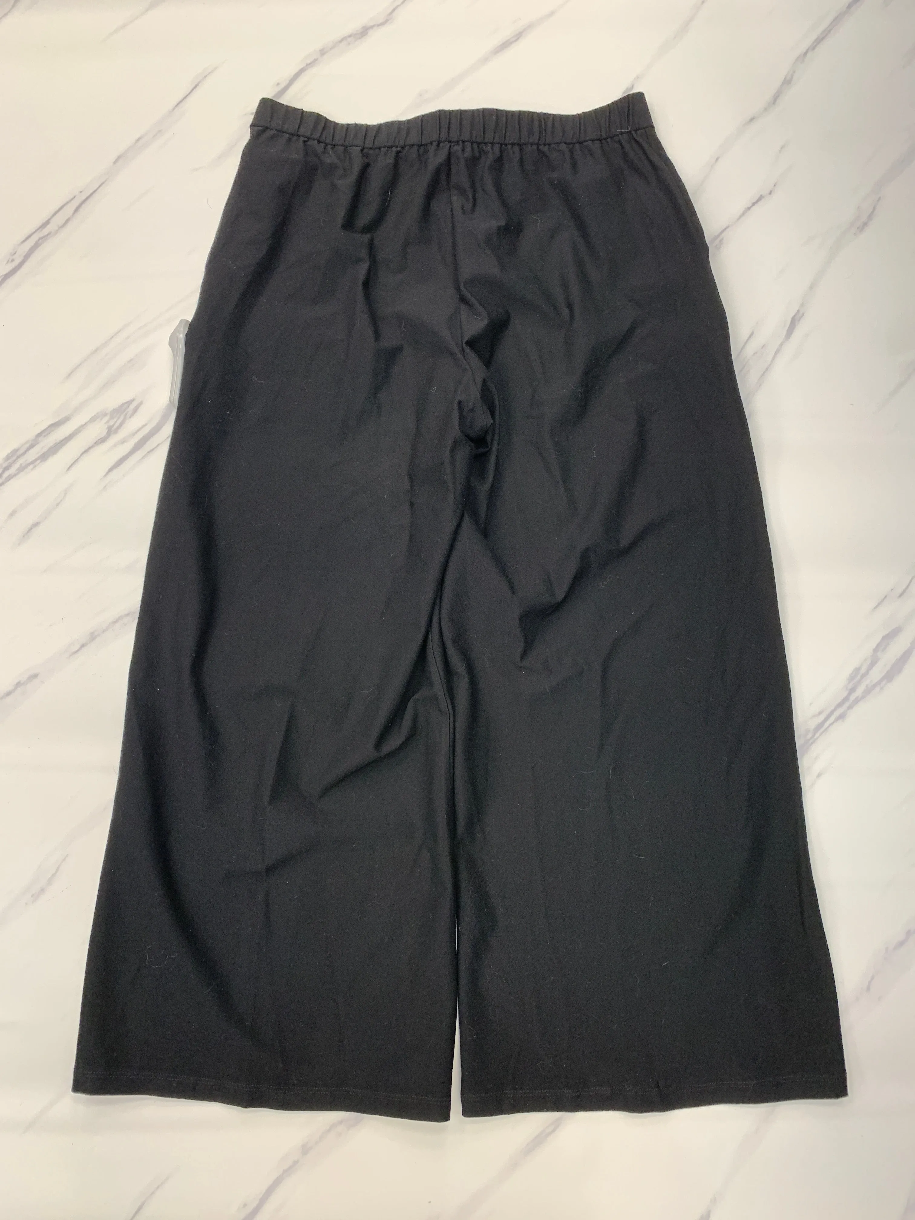 Pants Chinos & Khakis By Eileen Fisher In Black, Size: M